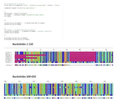 Coronavirus variations database